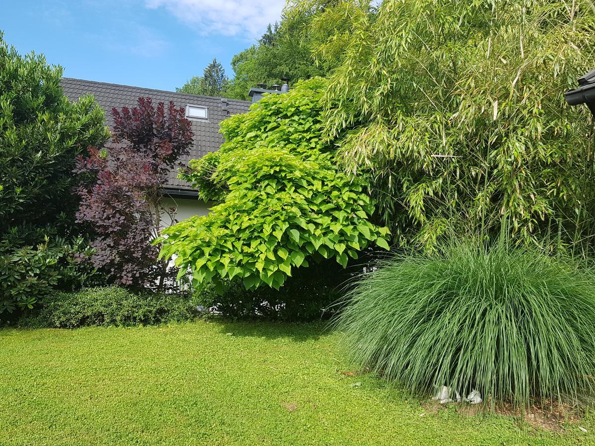 Bed and Breakfast Pr'Simi Golnik Exterior foto