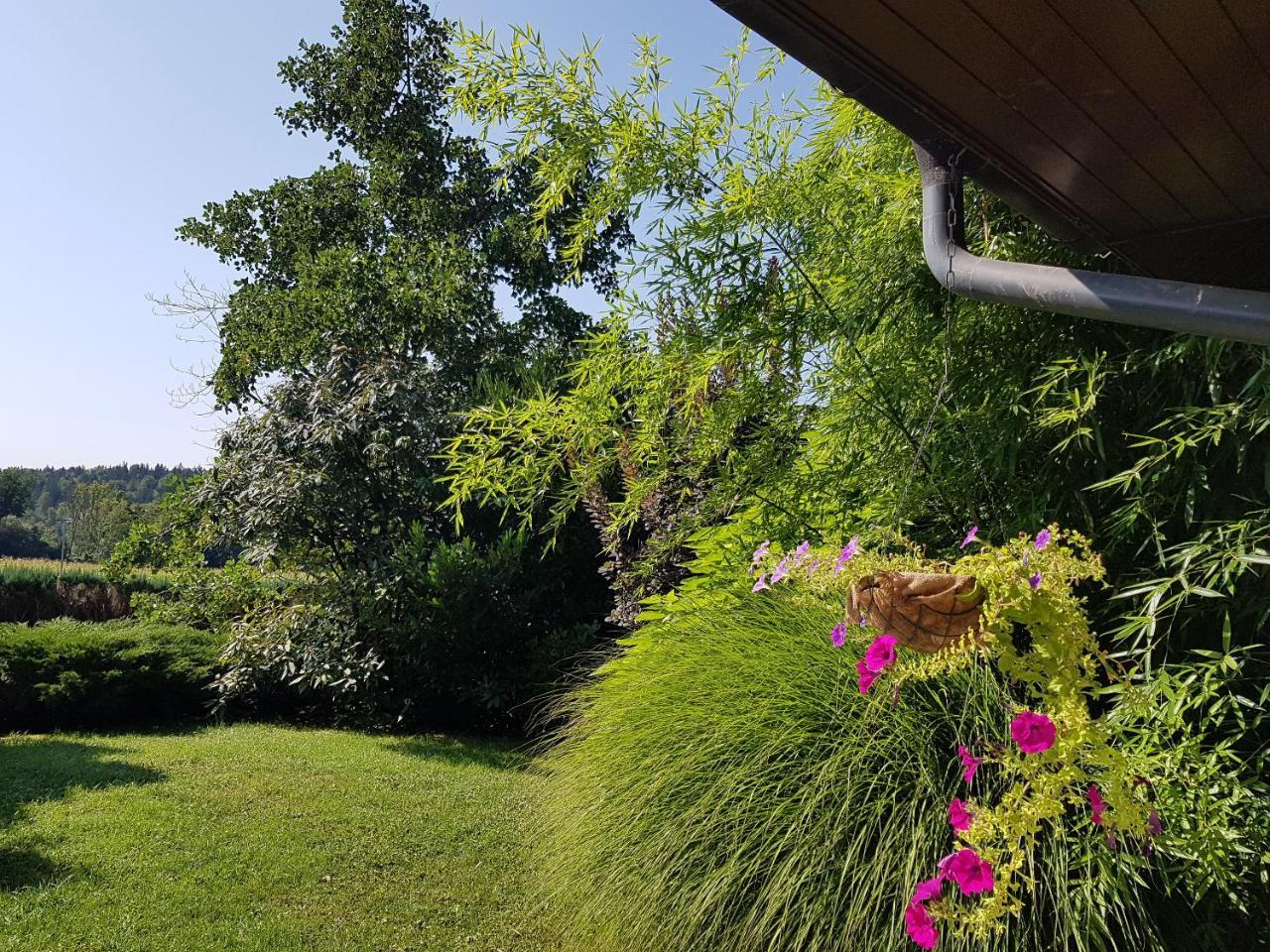 Bed and Breakfast Pr'Simi Golnik Exterior foto